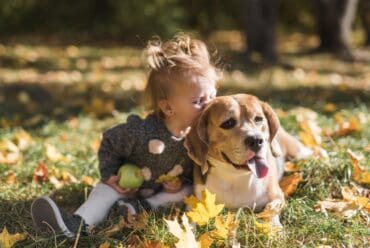 Las mejores razas de perros para niños pequeños