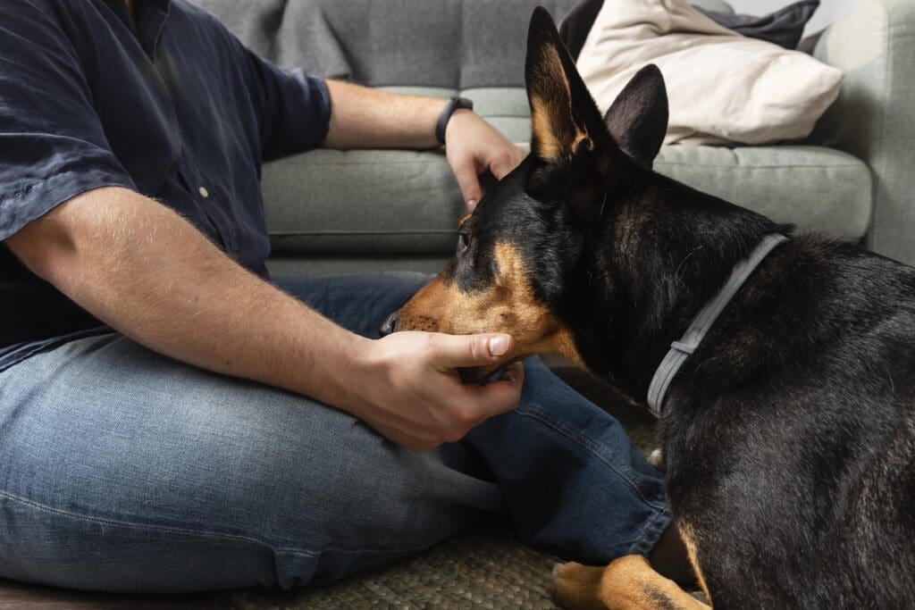 perro lamiendo a su dueño