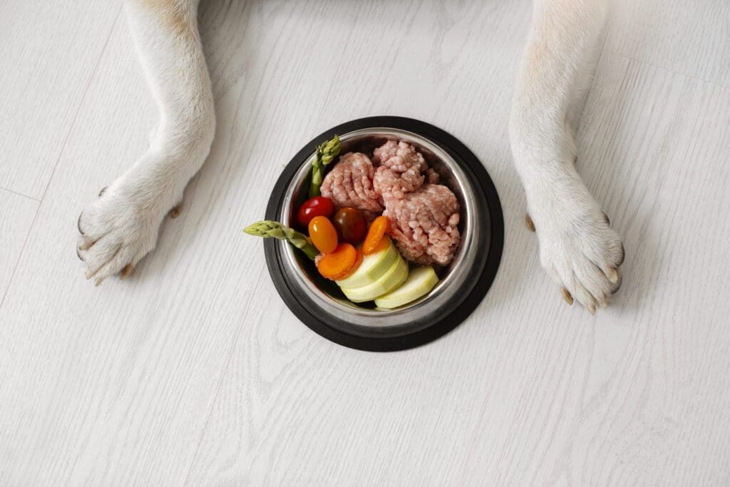 comida casera para perros