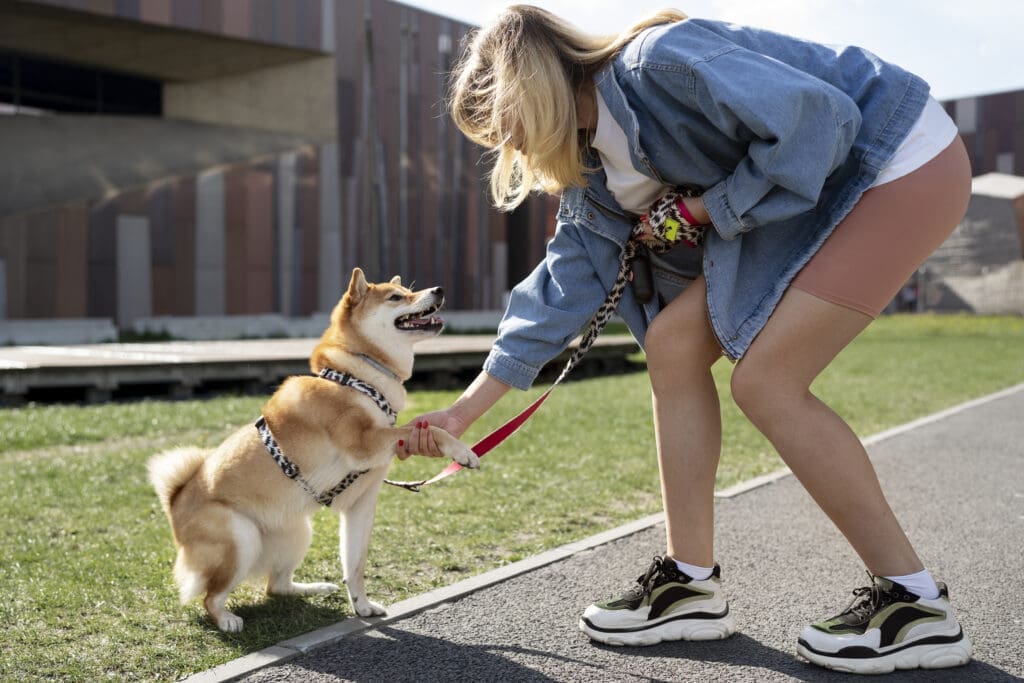 perro dando la mano