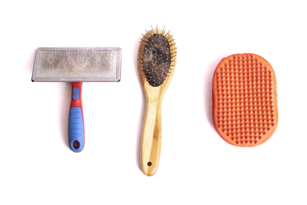 cepillos de pelo para perros