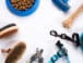 Productos Esenciales para la Higiene de tu Perro: Guía para un Botiquín de Aseo Básico y Preventivo