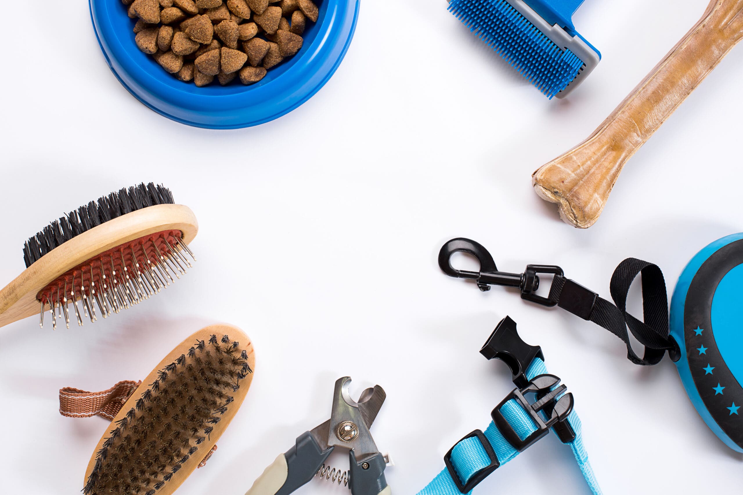 Productos Esenciales para la Higiene de tu Perro: Guía para un Botiquín de Aseo Básico y Preventivo