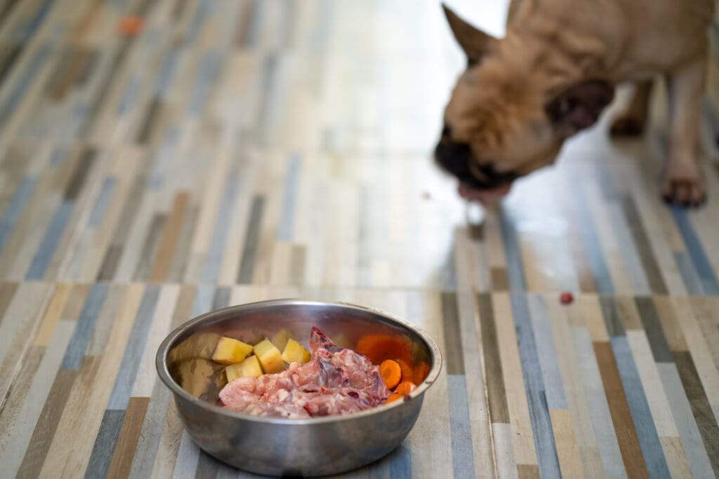 alimentación natural para perros