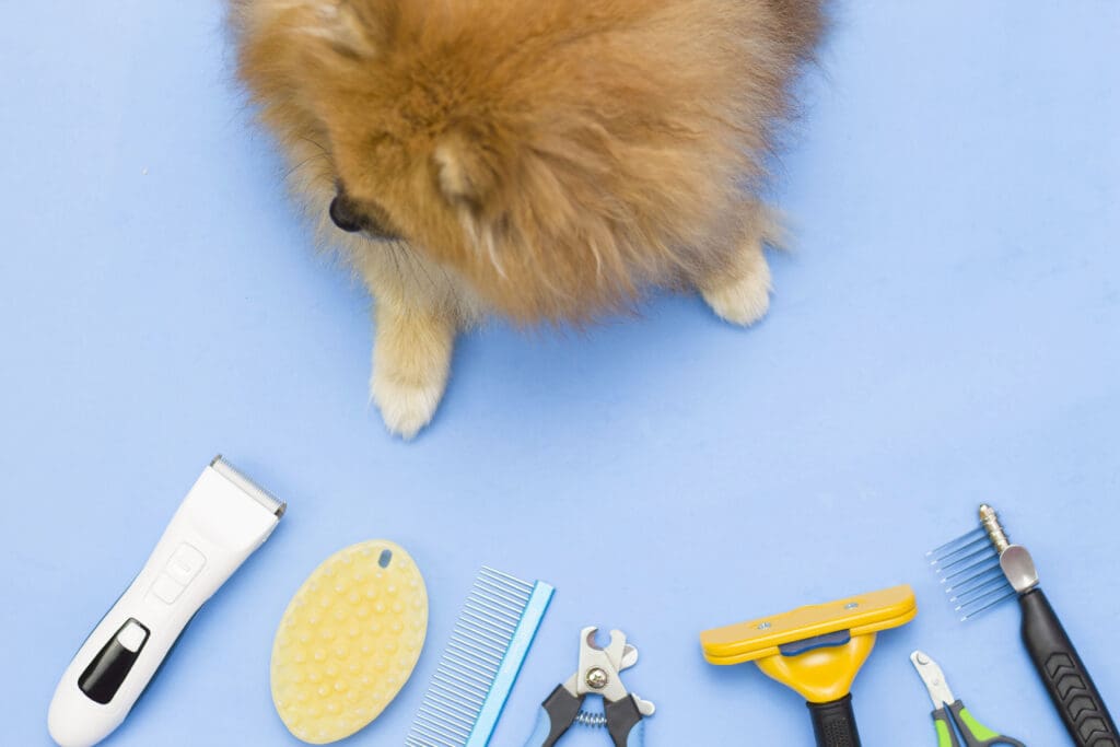 cepillos y shampoos para perros