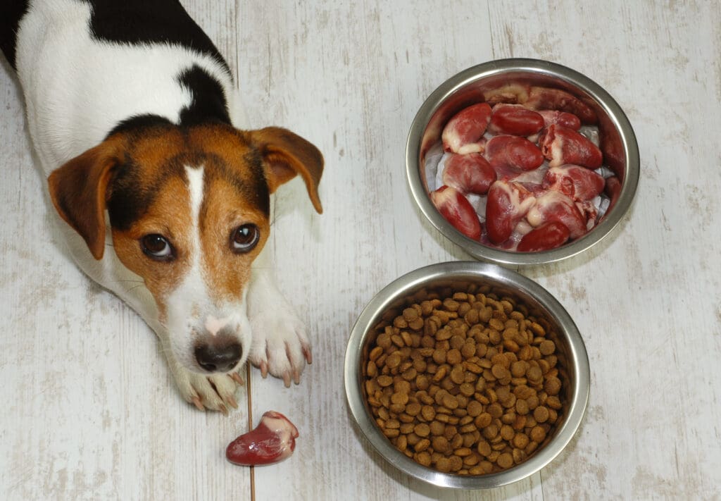 alimentación natural para perros
